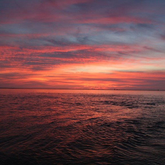 Meet your Posher, Crissy - Picture 11 of 15